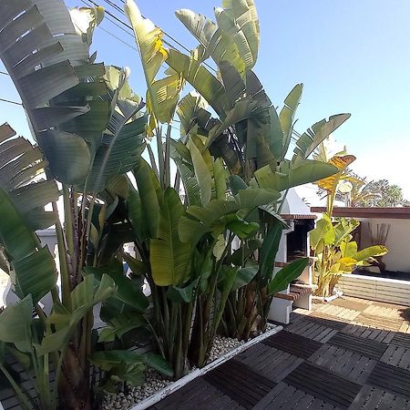 Villa Juncos Can Furnet Exterior foto